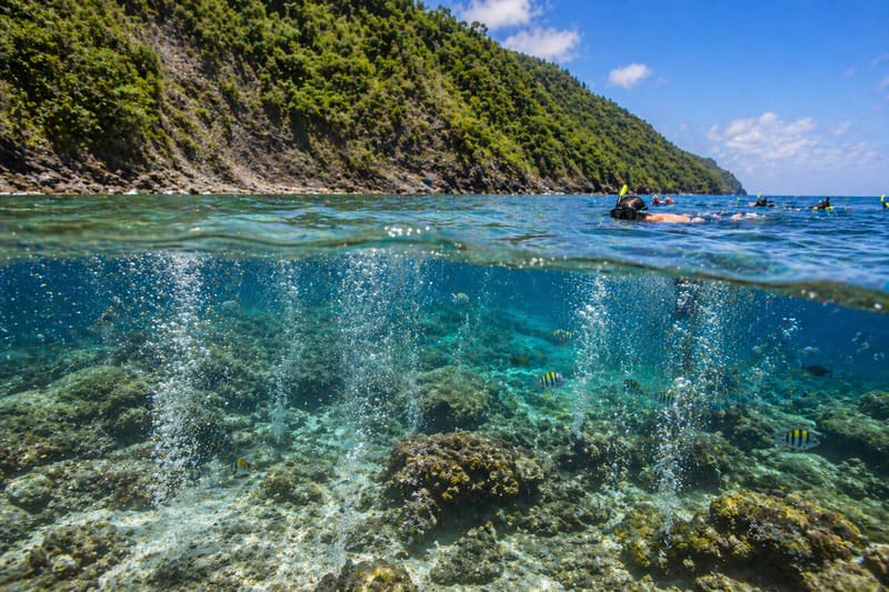 Champagne Reef in Dominica